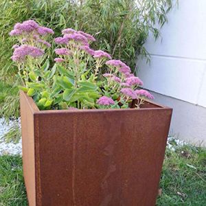 China Rectangular Corten Steel Planter Metal Stand Flower Pot on sale