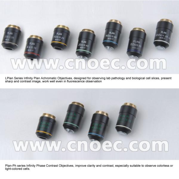 Quality Infinity Binocular Compound Microscope With Infinity Plan Objective A12.0908 wholesale