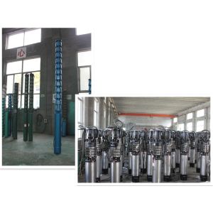 Submersible Borehole Water Pump Vertical Type