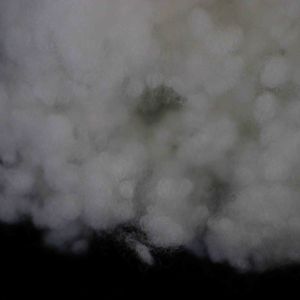 Recycled Conjugated Polyester Fiber 32mm Pure White Hollow Conjugated PSF