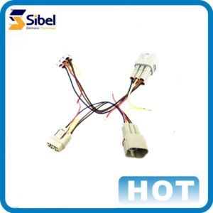 Customized OEM ODM Auto Wire Harness with Connector for Car