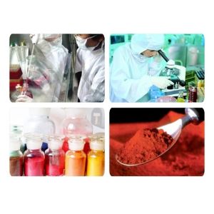 Permanent Natural Micro Pigment England Kiay For Tattoo