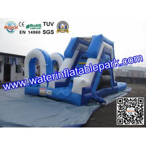 Commercial Inflatable Pool Slides For Kids , Inflatable Slip Slide