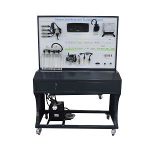 50Hz Gasoline Engine Automotive Education Equipment Engine Control System