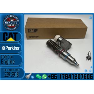 c10 injectors 10r-0963 10r0963 c12 injector 229-5918 2295918 for caterpillar cat