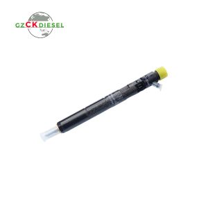 Common Rail Fuel Injector EJBR04401D A6650170221 for D27DT Engine