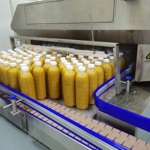 Customized Industrial Mango Juice And Puree Production Line For Mango Processing