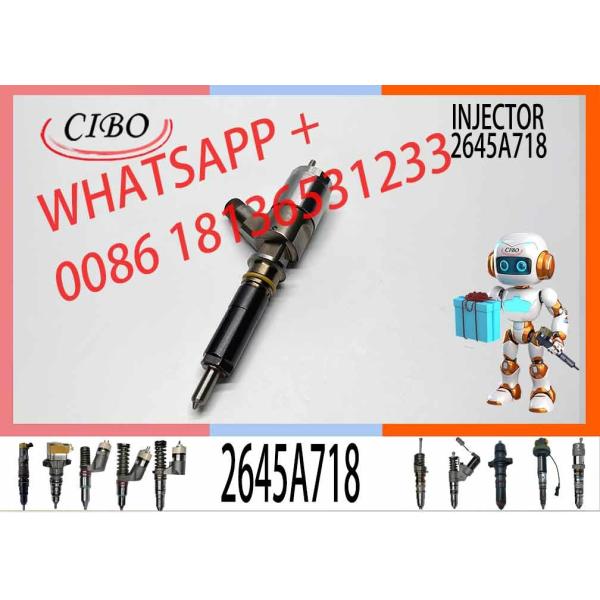 Fuel Pump Injector 2645A718 292-3780 Diesel For C6.6 Engine 2923780