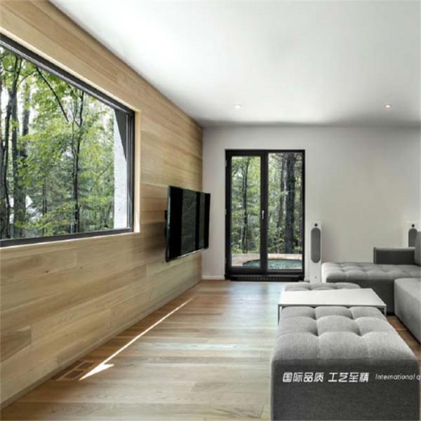 Quality Aluminum profile-Non-thermal break-Swing door-Black-55/65mmseries wholesale