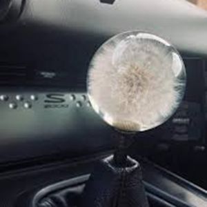 Cheap 70mm Crystal Resin Shift Knob Real Flowers Dandelion Shift Knob for sale