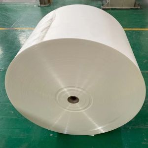 ECO Single PE Laminated Paper 210g+15g PE Coated Paper Rolls