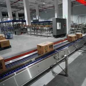 Intelligent Robot Palletizer Automatic Packing Cartons Loading Electric