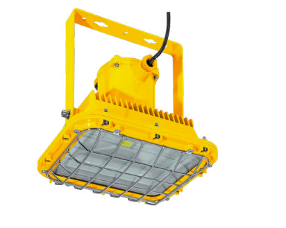 High Lumen 90lm/W Explosion Proof Lamp 30W-70W