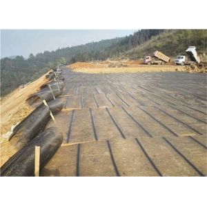 Reinforce Foundations Black Polypropylene Uniaxial Plastic Geogrid
