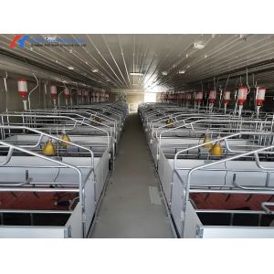 304 Stainless Steel Farrowing Crates , Farrowing Pens For Pigs