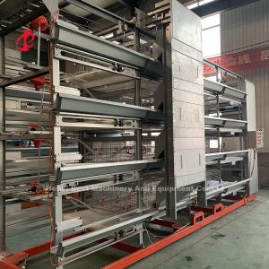 25 Years Lifespan A H Type Automatic Chicken Cage Equipment For Layers Broilers