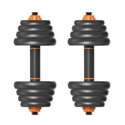 Quality 20KGS 40lb Dumbbell Barbell Kettlebell Set That Can Change Weight Cast Iron OEM wholesale