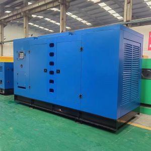 200kw Power 250kva Cummins 6LTAA8.9-G2 Generator for Canopy Type IP23 Protection