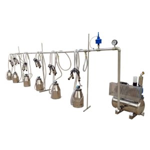 China HL-JN10 6 Milking Bucket Automatic Cow Milk Machine with 380V 50Hz on sale