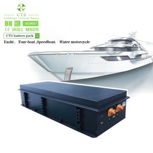 Customizable Size and Voltage Options for Electric Boat Battery 96V 300ah NMC