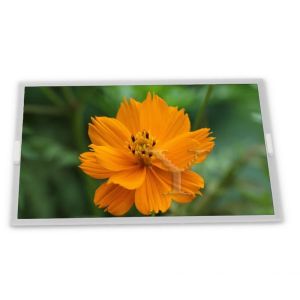 ODM 15.0-Inch WLED LCD Display Module LB150X03-TL03 with 1024*768 Resolution for