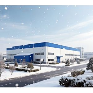 Q235B Q355B Sturdy Metal Structure Construction ASTM A36 Wind Resistant