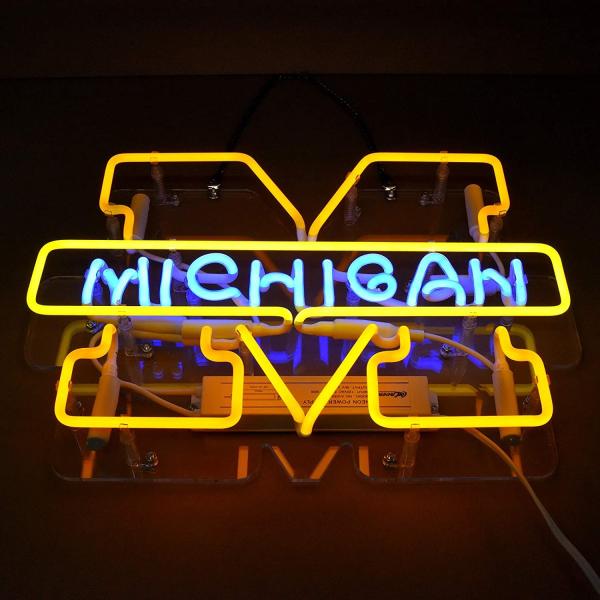 Neon Signs Light Sign Home Beer Bar Pub Recreation Room Game Lights Windows Glass Wall Party Birthday Bedroom Decoration