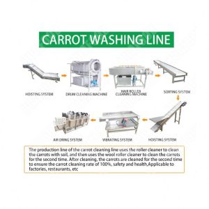 Automatic With Cooling System Vegetable Lettuce Cassava Yam Banana Potato Chips