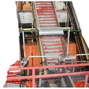 Customized Stainless Steel 304 316 Apple Juice Production Line 10ton Industrial