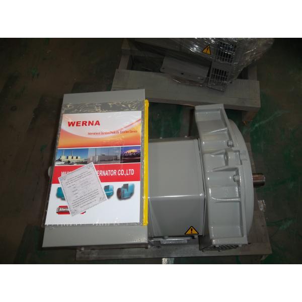 Double Bearing Brushless Alternator