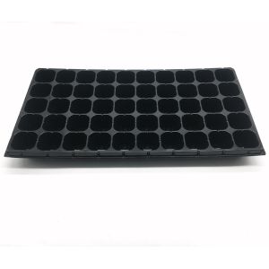 Cheap 50 Cavity Transplanting Nontoxic Seed Germination Tray With Lid for sale