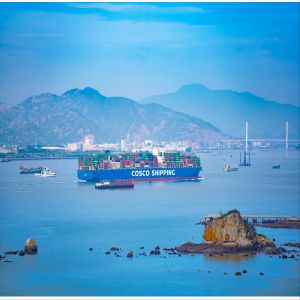 International FCL LCL Sea Freight Forwarder From China To USA