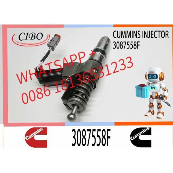 Auto Parts Common Rail Diesel Fuel Injector 3407776 3411385 3087558F For Cummins QSN14 N14