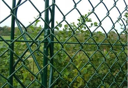 Quality 75mm Chain Link Mesh Fencing Hot Dipped Galvanized Pvc Coated wholesale