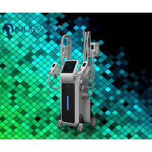 China latest cool sculpting 4 cryo handles fat removal machine on sale
