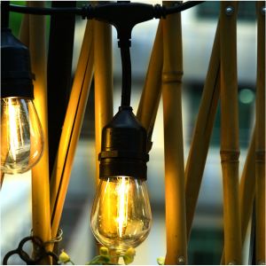 S14 1W LED String Bulb 3M Extension Cable 15PCS 2200K