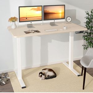 Adjustable Electric Height Study Table for Home Office Design Library Boardroom