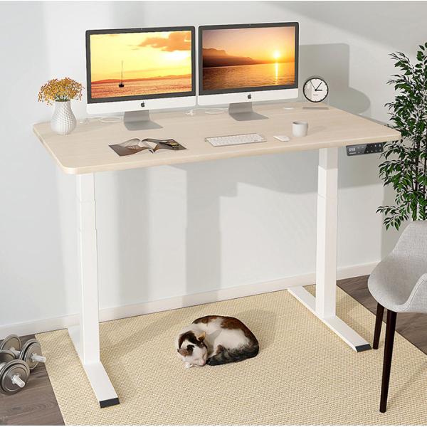 Quality Adjustable Height Double Motor Desk for Middle Minimalistic Coffee Table and Learning wholesale
