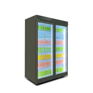 R134a Commercial Display Freezer Multifunctional Beverage Glass Door Refrigerato