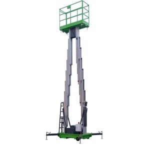 China 14m Double Mast Aerial Work Platform Durable Awp Equipment 150Kg Loading on sale