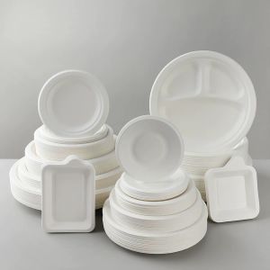 Disposable Dinnerware Set Pulp Sugarcane Sugar Cane Paper Tableware Square Round