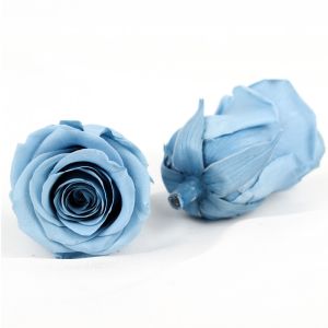 Eco Friendly Diameter 5-6cm No Pollen Real Eternal Roses