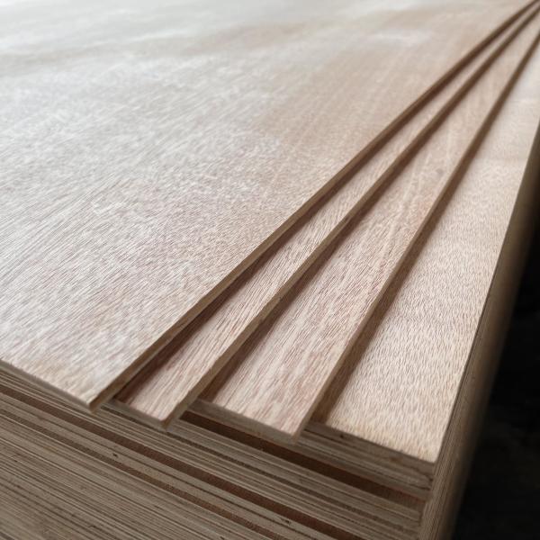 Quality Practical Sturdy Hard Plywood Sheets , Multipurpose Veneered Particle Board wholesale