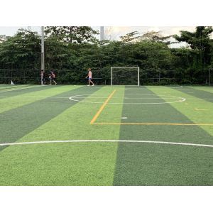 Monofilament Football Artificial Turf 171g/sqm 6 Strands