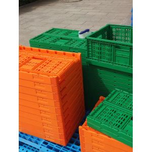 Collapsible Plastic Pallet Crate Perfect for Storing Large Mesh Fruits and