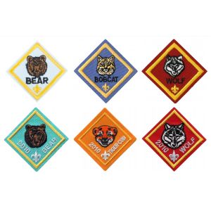Polyester Thread 120D Boy Scout Patch