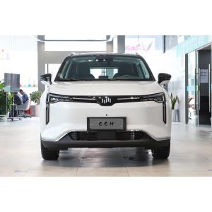 Single Speed Transmission Full Electric SUVs Weima W6 Medium SUV
