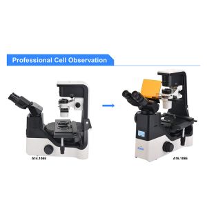 OPTO EDU A16.1065 LCD Screen Inverted LED Fluorescent Microscope Tiltable