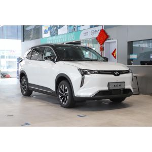 Single Speed Transmission Full Electric SUVs Weima W6 Medium SUV