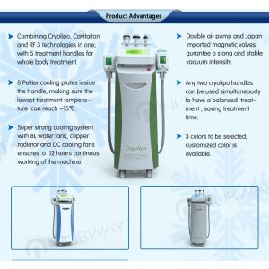 Cool sculpting fat reduction cryolipolysis slimming machine chinese professional